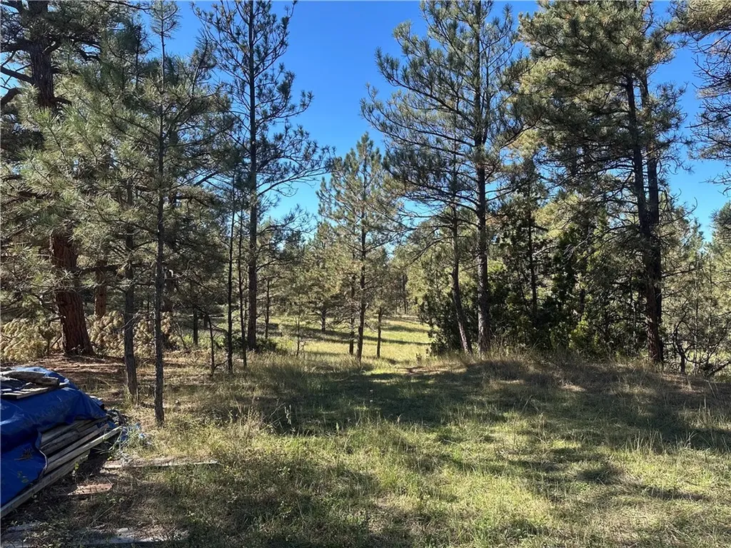 Tbd Smith Court Roundup MT 59072
