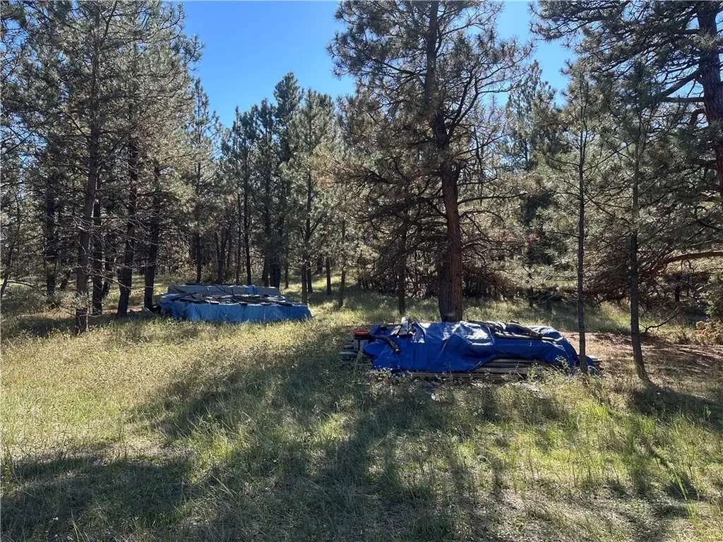 Tbd Smith Court Roundup MT 59072