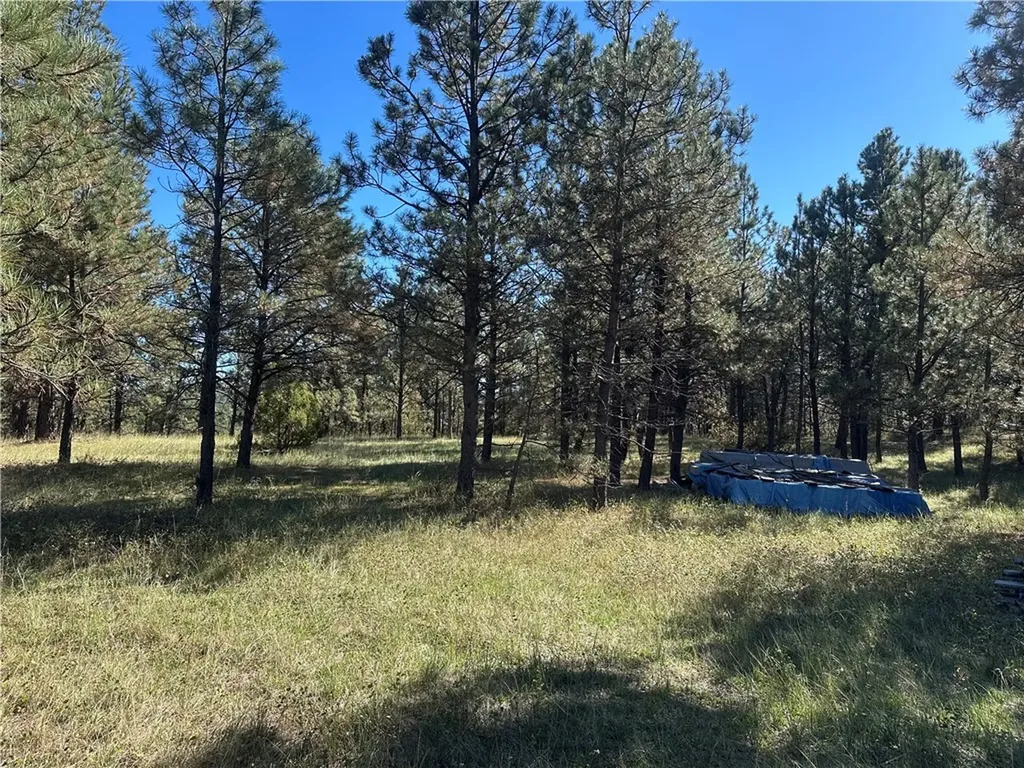 Tbd Smith Court Roundup MT 59072
