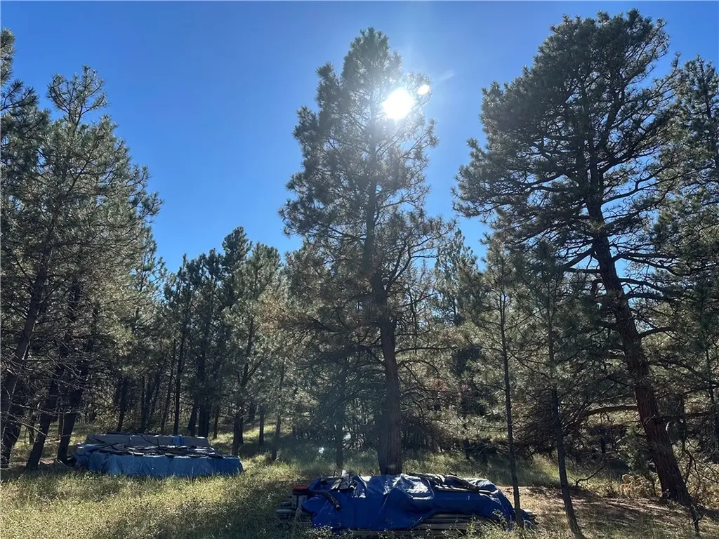 Tbd Smith Court Roundup MT 59072