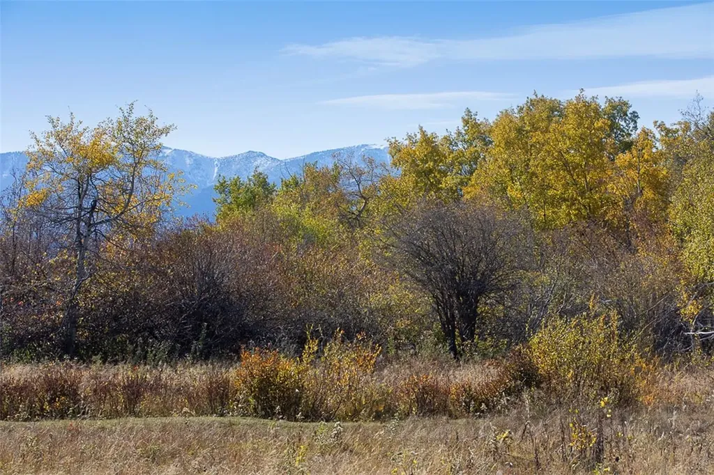 Tbd 14 Ac Lower Luther Road Red Lodge MT 59068