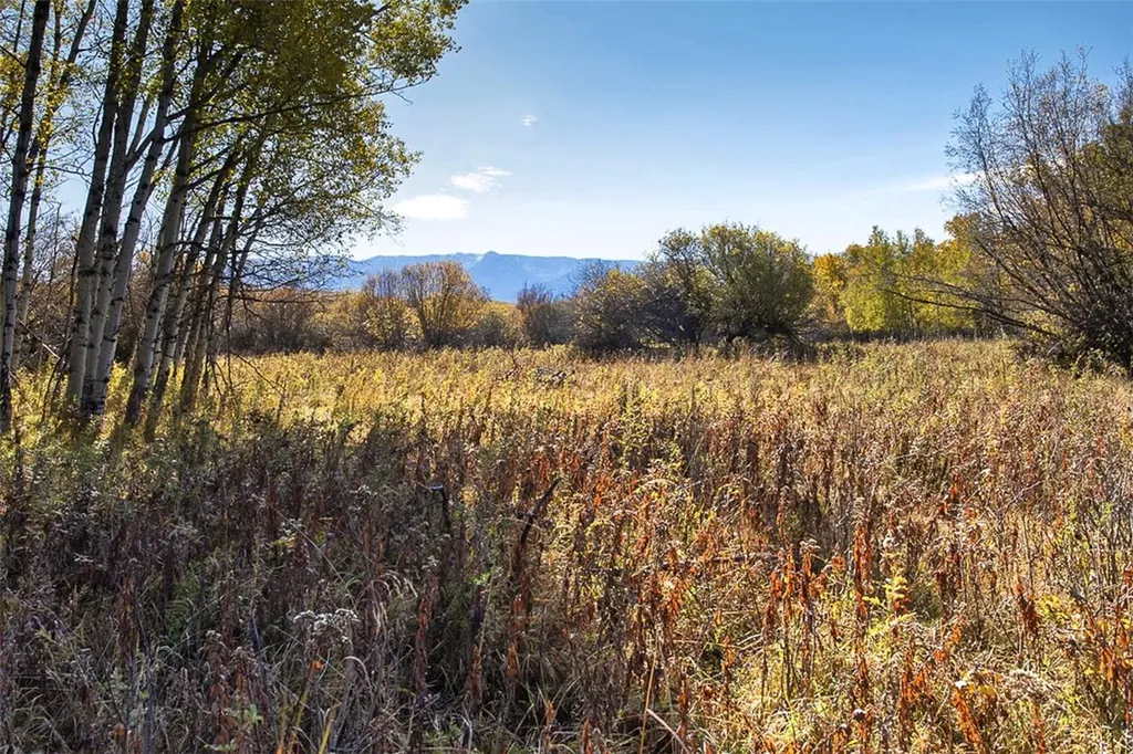 Tbd 14 Ac Lower Luther Road Red Lodge MT 59068