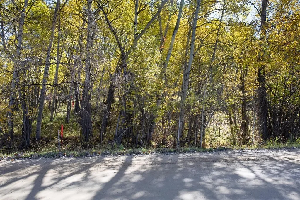 Tbd 14 Ac Lower Luther Road Red Lodge MT 59068