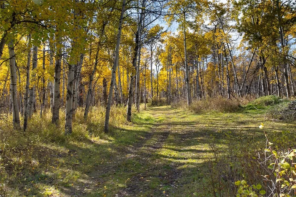Tbd 14 Ac Lower Luther Road Red Lodge MT 59068