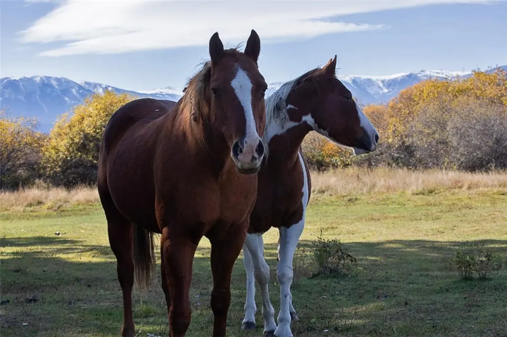 Tbd 14 Ac Lower Luther Road Red Lodge MT 59068