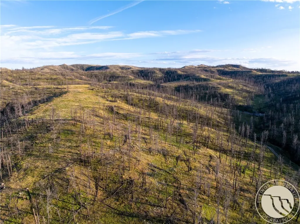 610 Johnnys Coal Road Roundup MT 59072