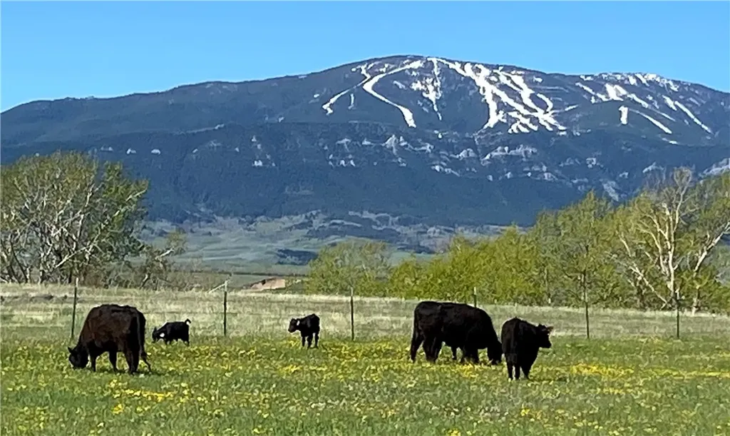 Tbd East Bench Road Roberts MT 59068