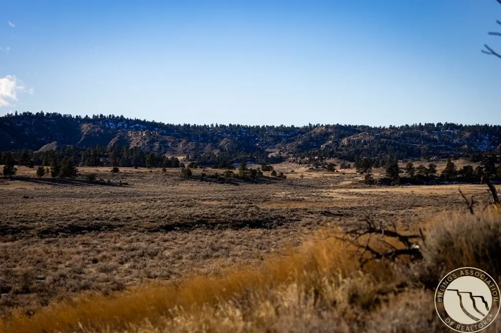 1234 Border Road Shepherd MT 59079