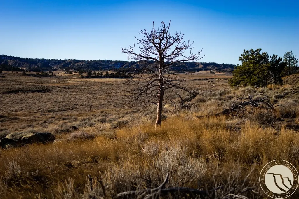 1234 Border Road Shepherd MT 59079