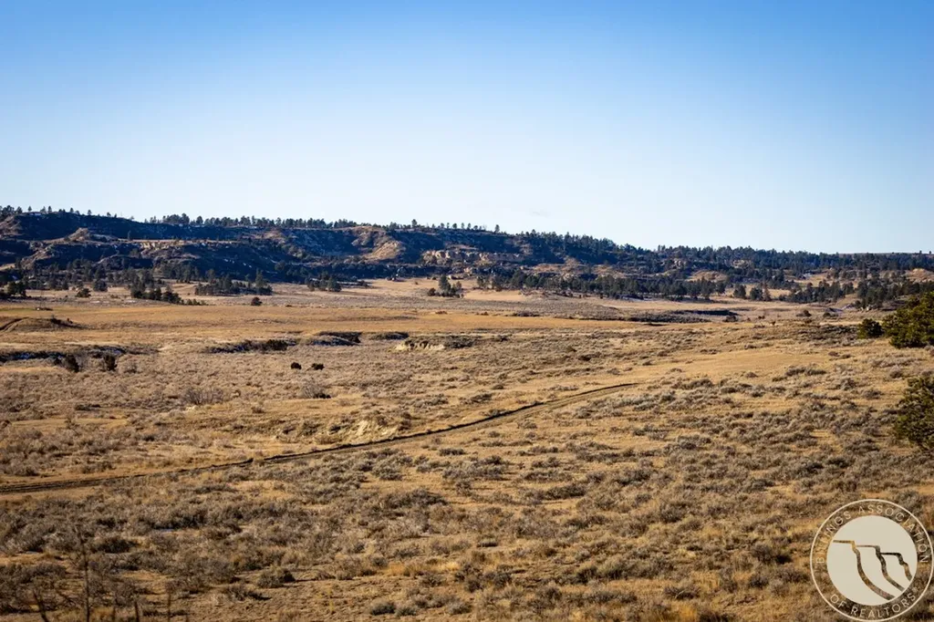 1234 Border Road Shepherd MT 59079