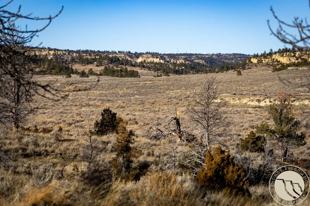 1234 Border Road Shepherd MT 59079