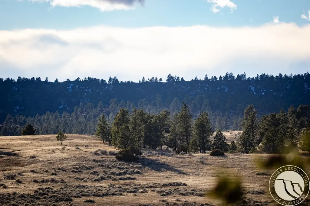 1234 Border Road Shepherd MT 59079