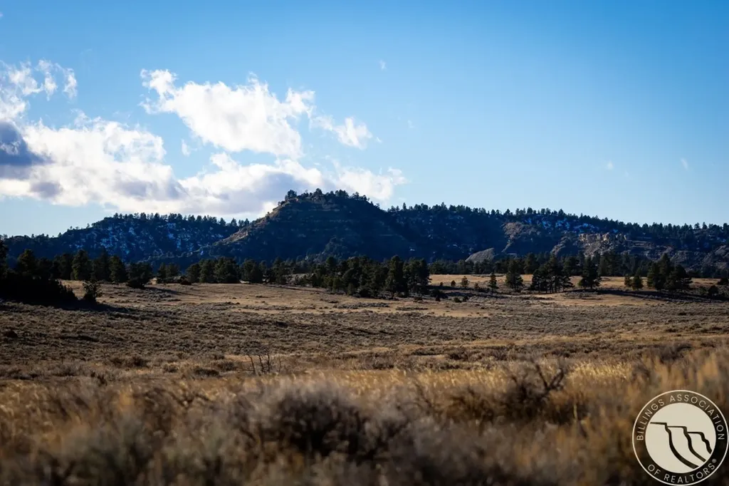 1234 Border Road Shepherd MT 59079