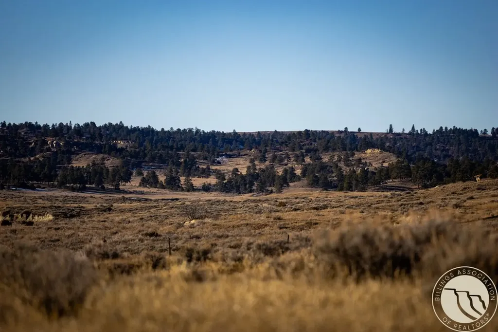 1234 Border Road Shepherd MT 59079