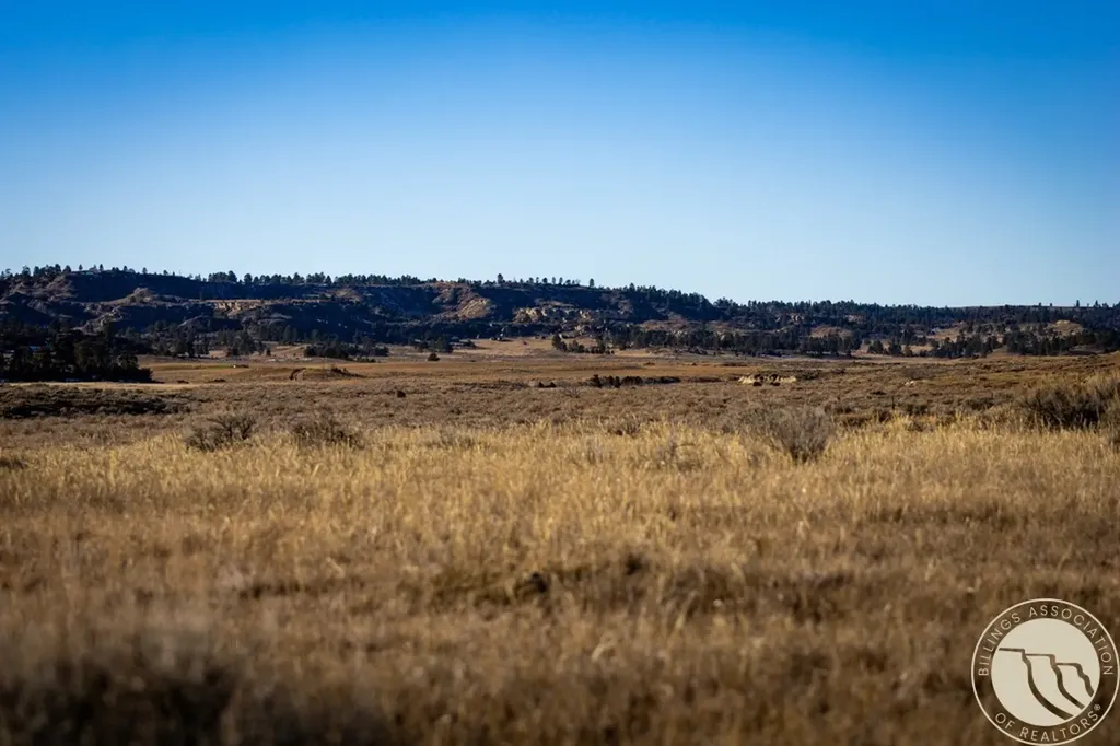 1234 Border Road Shepherd MT 59079
