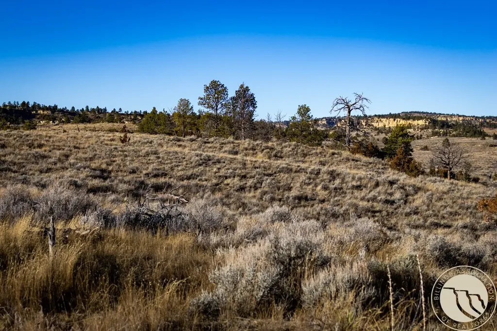 1234 Border Road Shepherd MT 59079