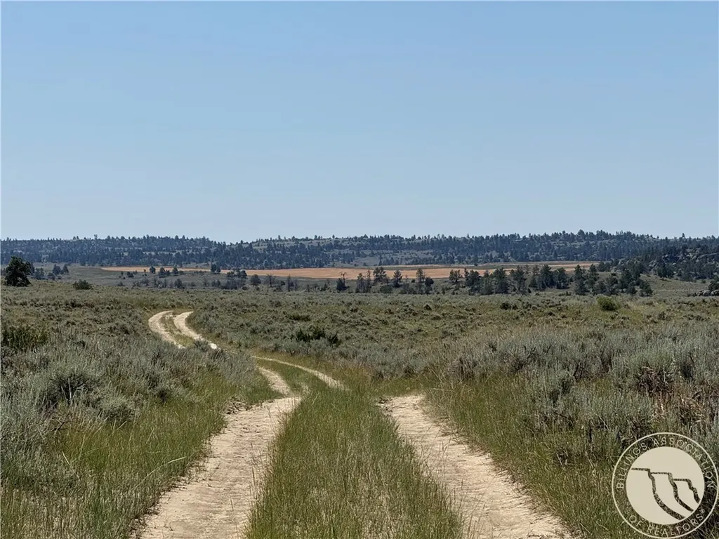 1234 Border Road Shepherd MT 59079