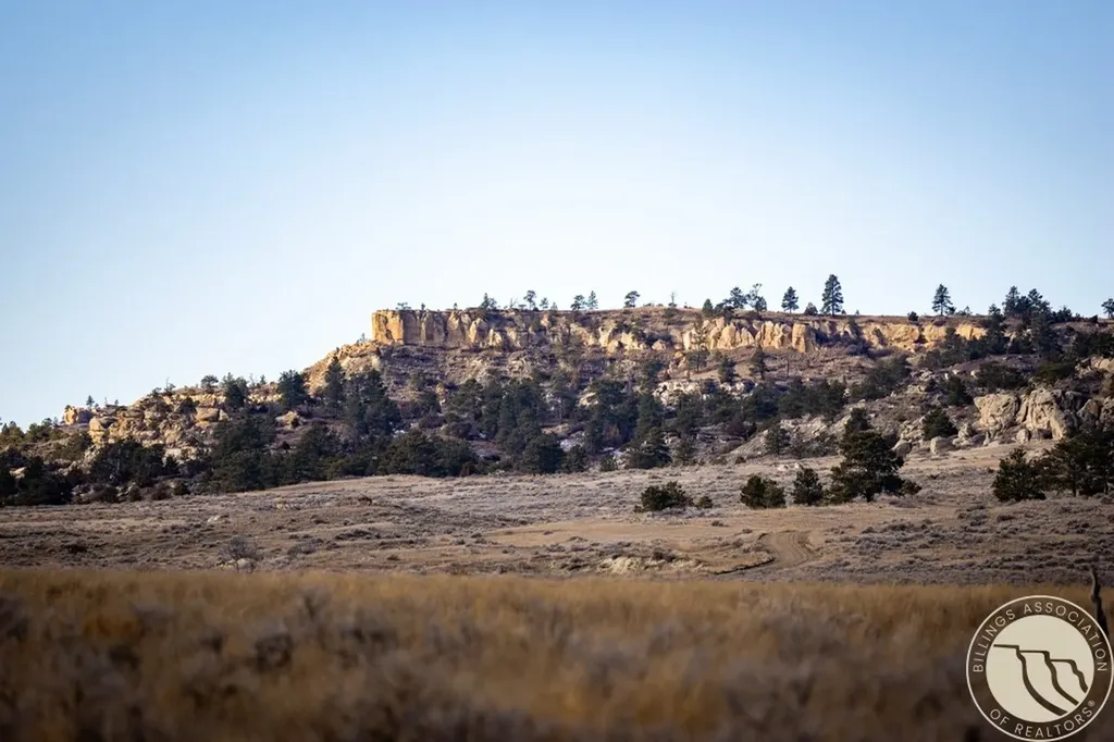 1234 Border Road Shepherd MT 59079