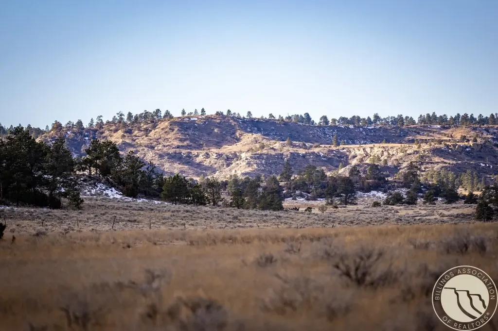 1234 Border Road Shepherd MT 59079