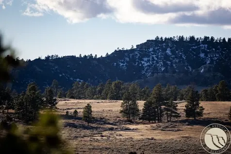 1234 Border Road Shepherd MT 59079