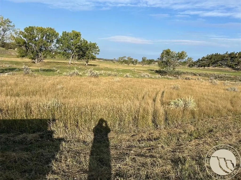 Tbd Highway 12 Roundup MT 59072