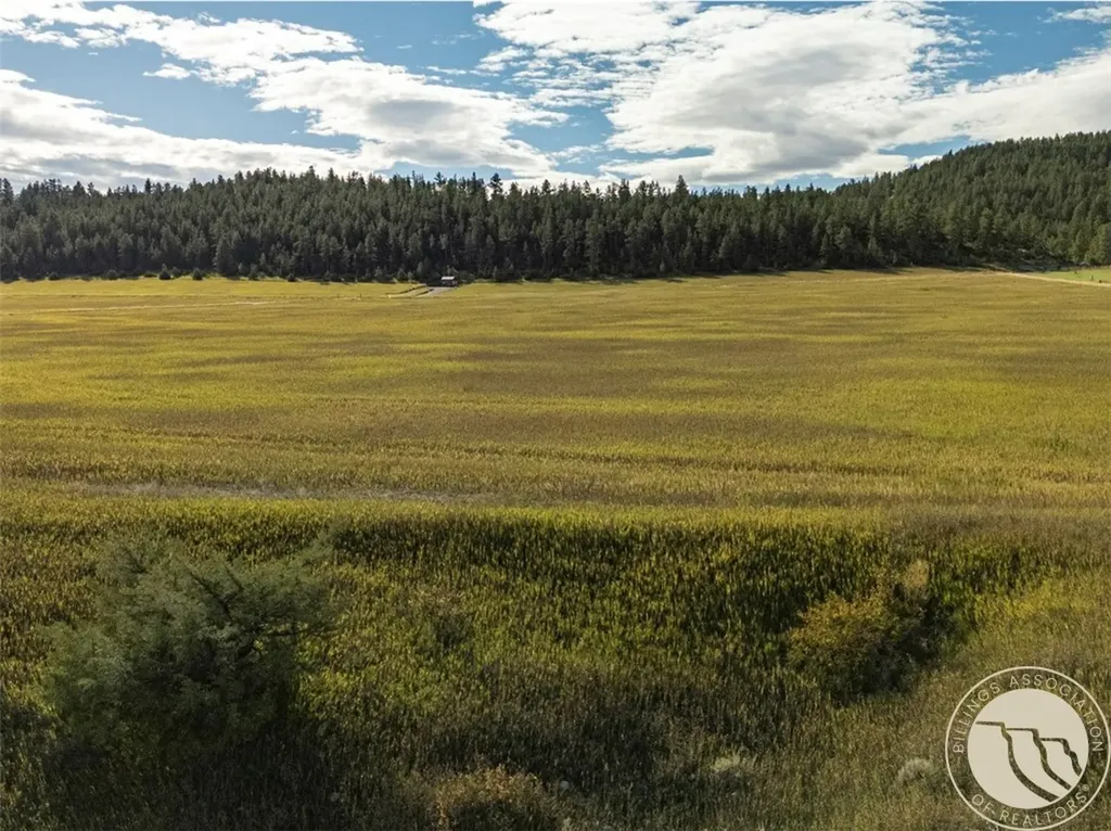 20 Elkhorn Road Reed Point MT 59069