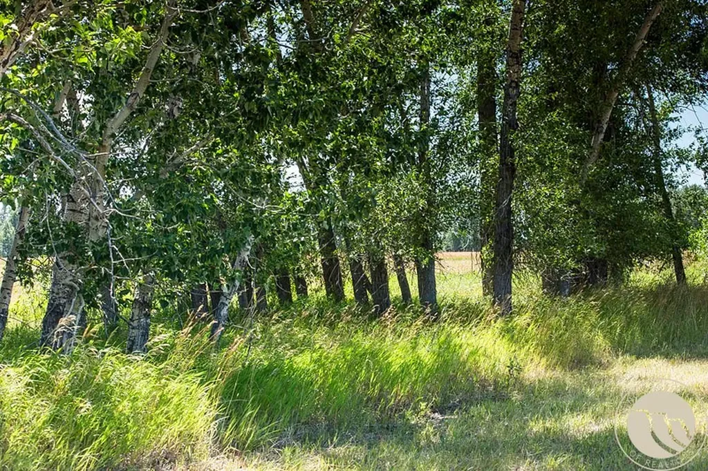 Lot 20 Rosebud View Roberts MT 59070