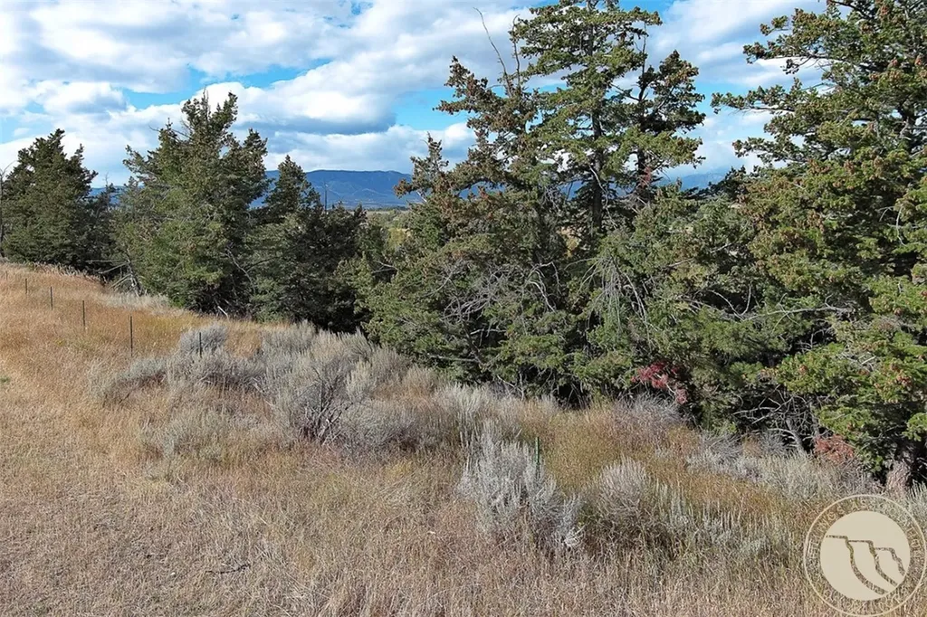 Lot 20 Rosebud View Roberts MT 59070