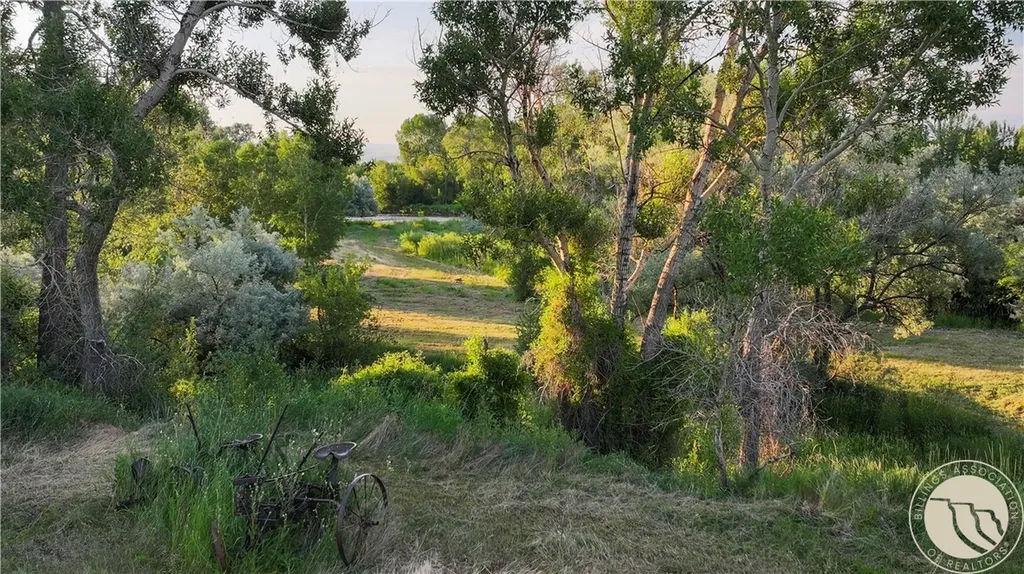 9786 Us Highway 212 Joliet MT 59041