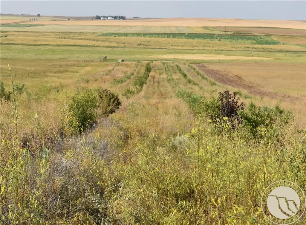 891 Mail Route Road Other MT 59222