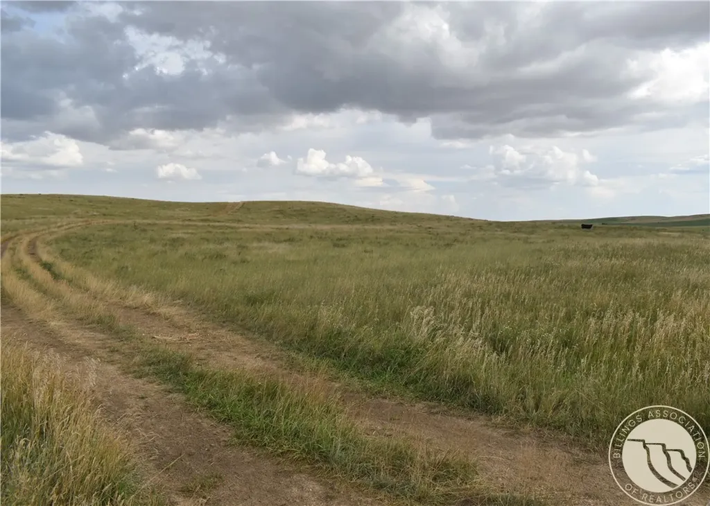 891 Mail Route Road Other MT 59222