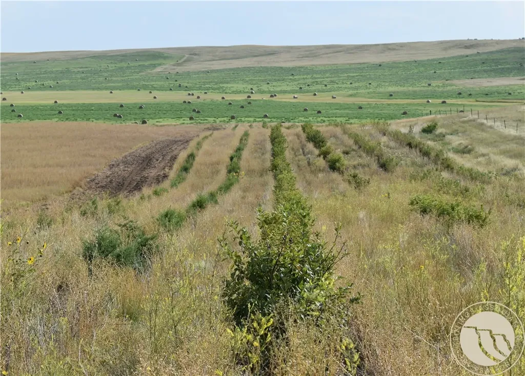891 Mail Route Road Other MT 59222