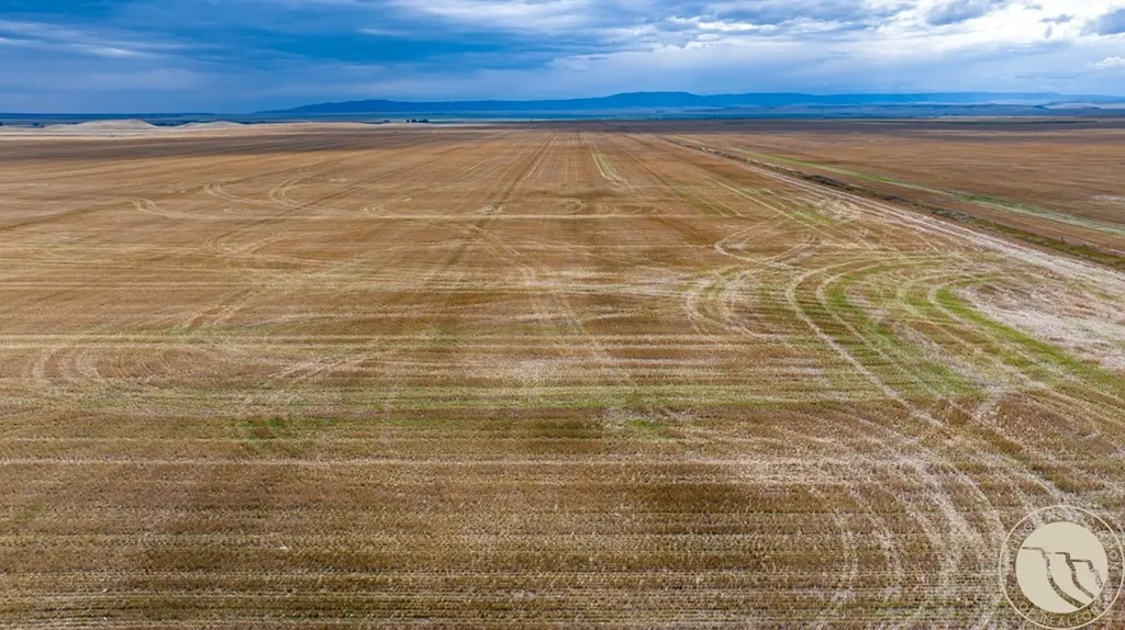 Tbd Woodland Road Lewistown MT 59462