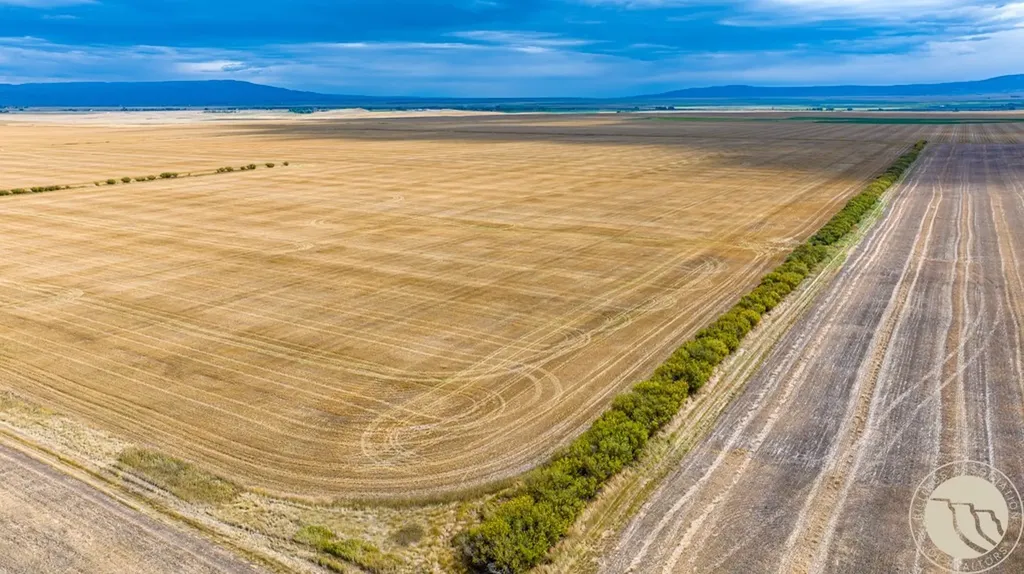 Tbd Woodland Road Lewistown MT 59462