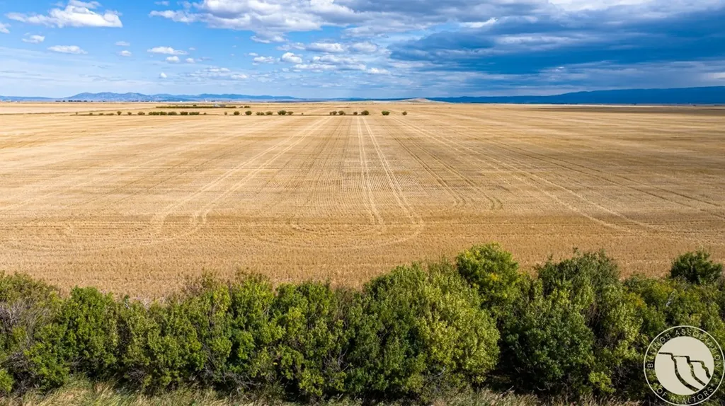 Tbd Woodland Road Lewistown MT 59462