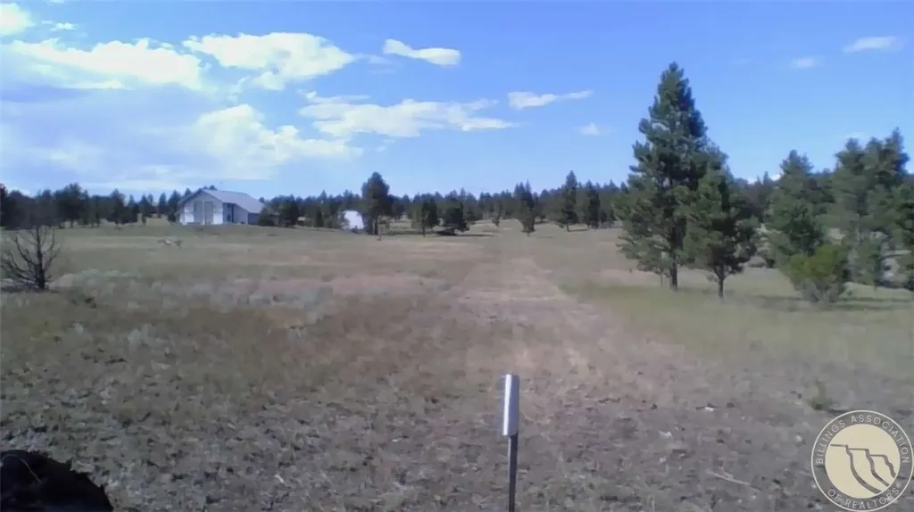 127 Quail Roundup MT 59072