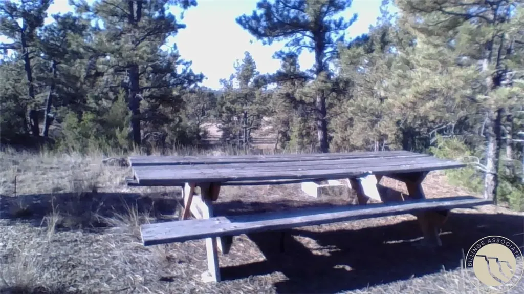 127 Quail Roundup MT 59072