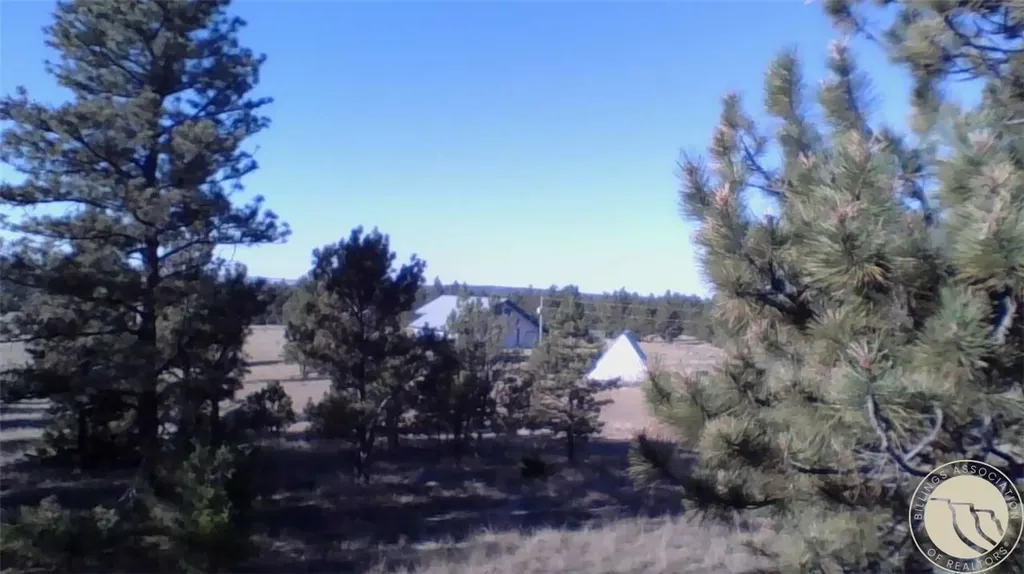 127 Quail Roundup MT 59072