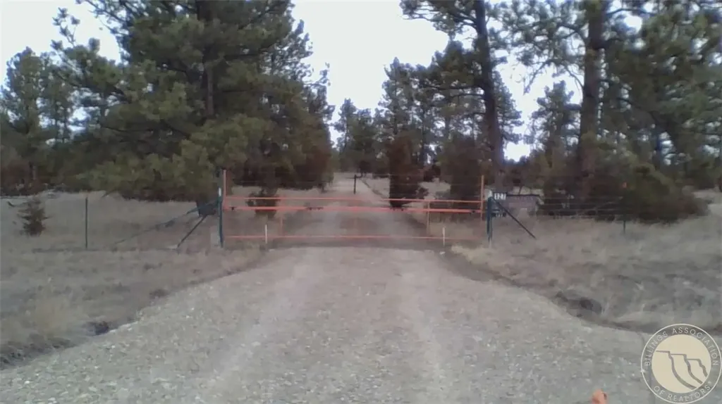 127 Quail Roundup MT 59072