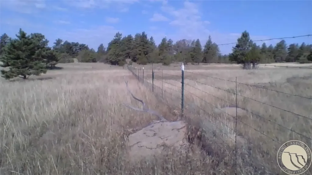 127 Quail Roundup MT 59072