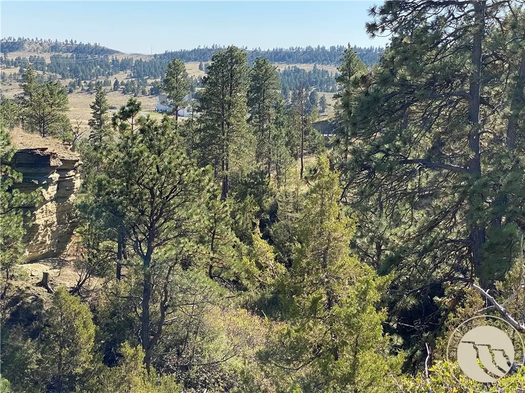 Lot 20a-2 Far And Away Trail Billings MT 59106