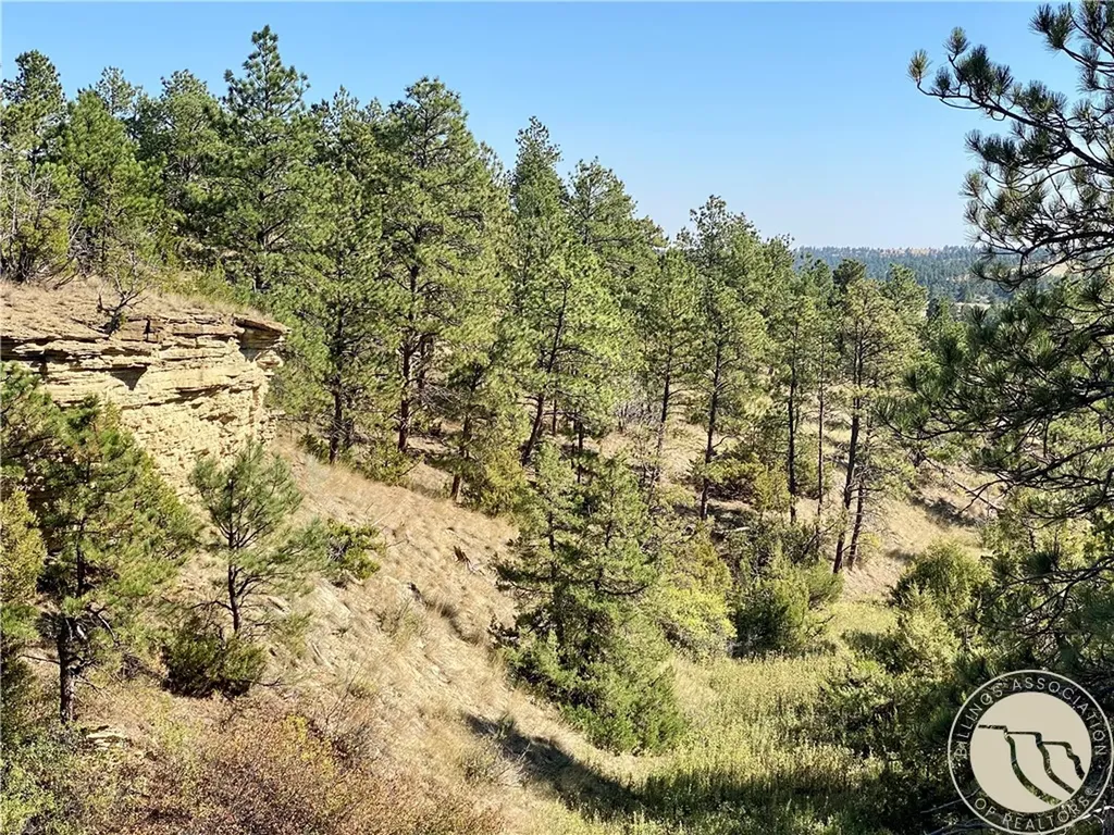 Lot 20a-2 Far And Away Trail Billings MT 59106