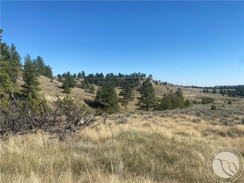 Lot 20a-2 Far And Away Trail Billings MT 59106