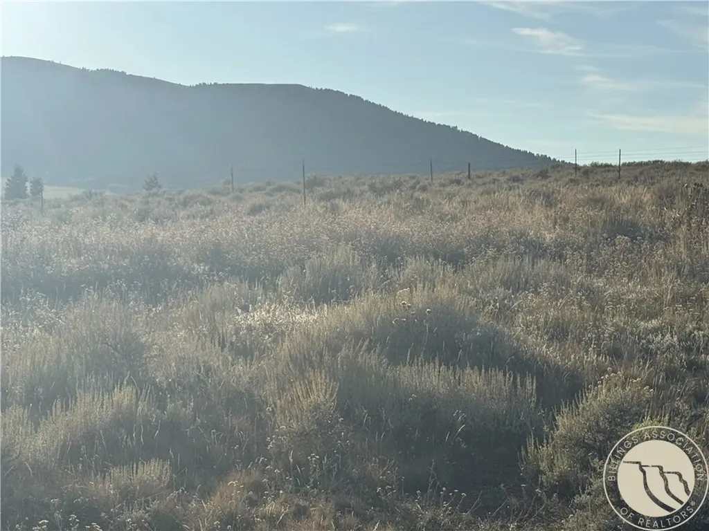 45 Mountainview White Sulphur Springs MT 59645