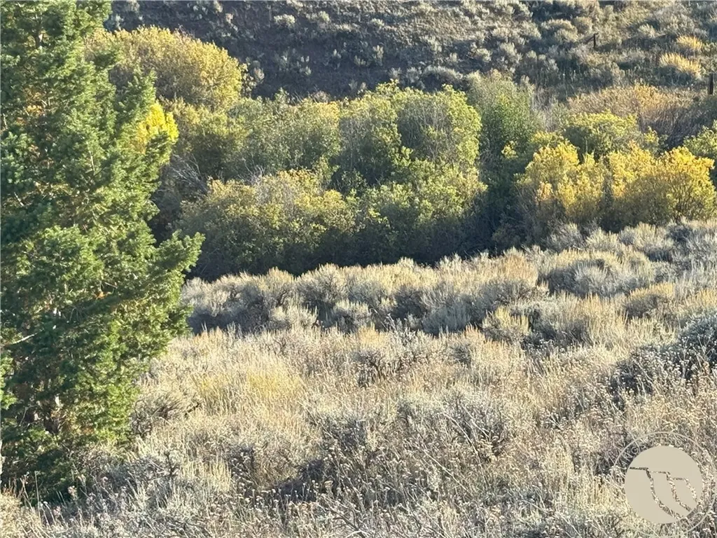45 Mountainview White Sulphur Springs MT 59645