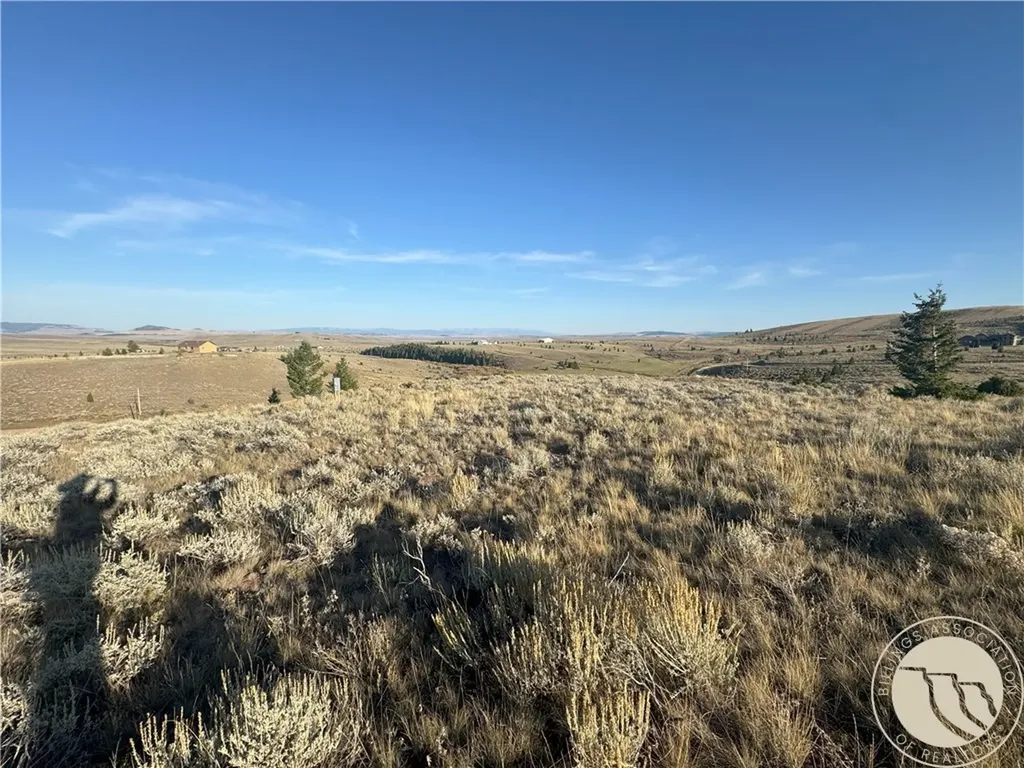 45 Mountainview White Sulphur Springs MT 59645