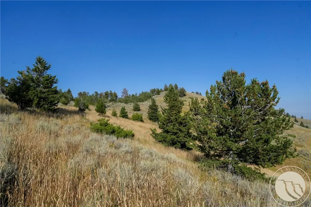 Nhn Wilderness Lane Red Lodge MT 59068