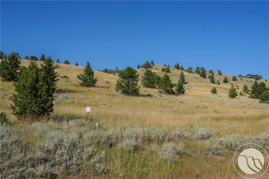 Nhn Wilderness Lane Red Lodge MT 59068