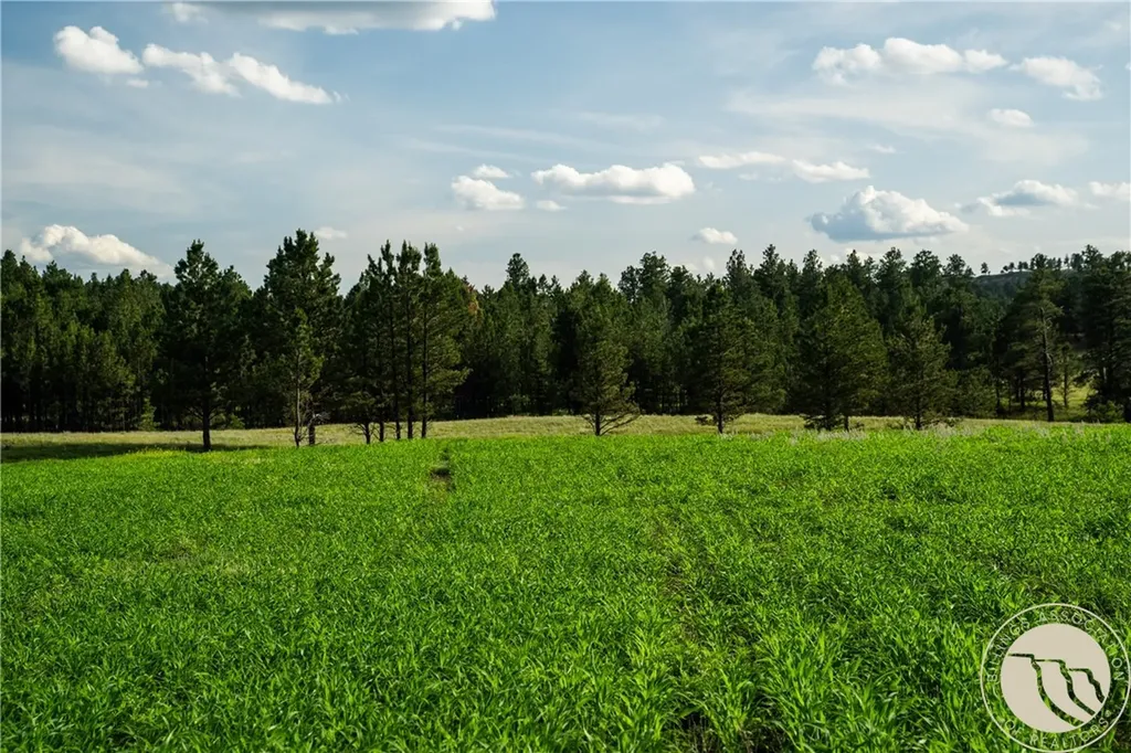 1234 Queens Point Road Melstone MT 59054