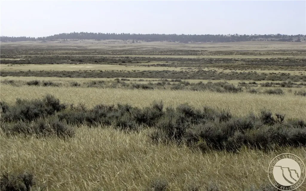 Nhn Lindstrom Road Shepherd MT 59079